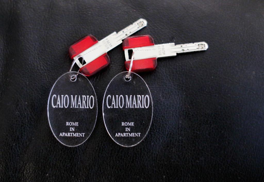 Caio Mario Apartment Rome Bagian luar foto